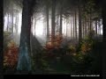 Karmakosmik - In The Woods