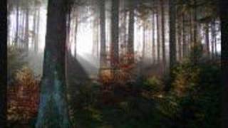 Karmakosmik - In the woods...