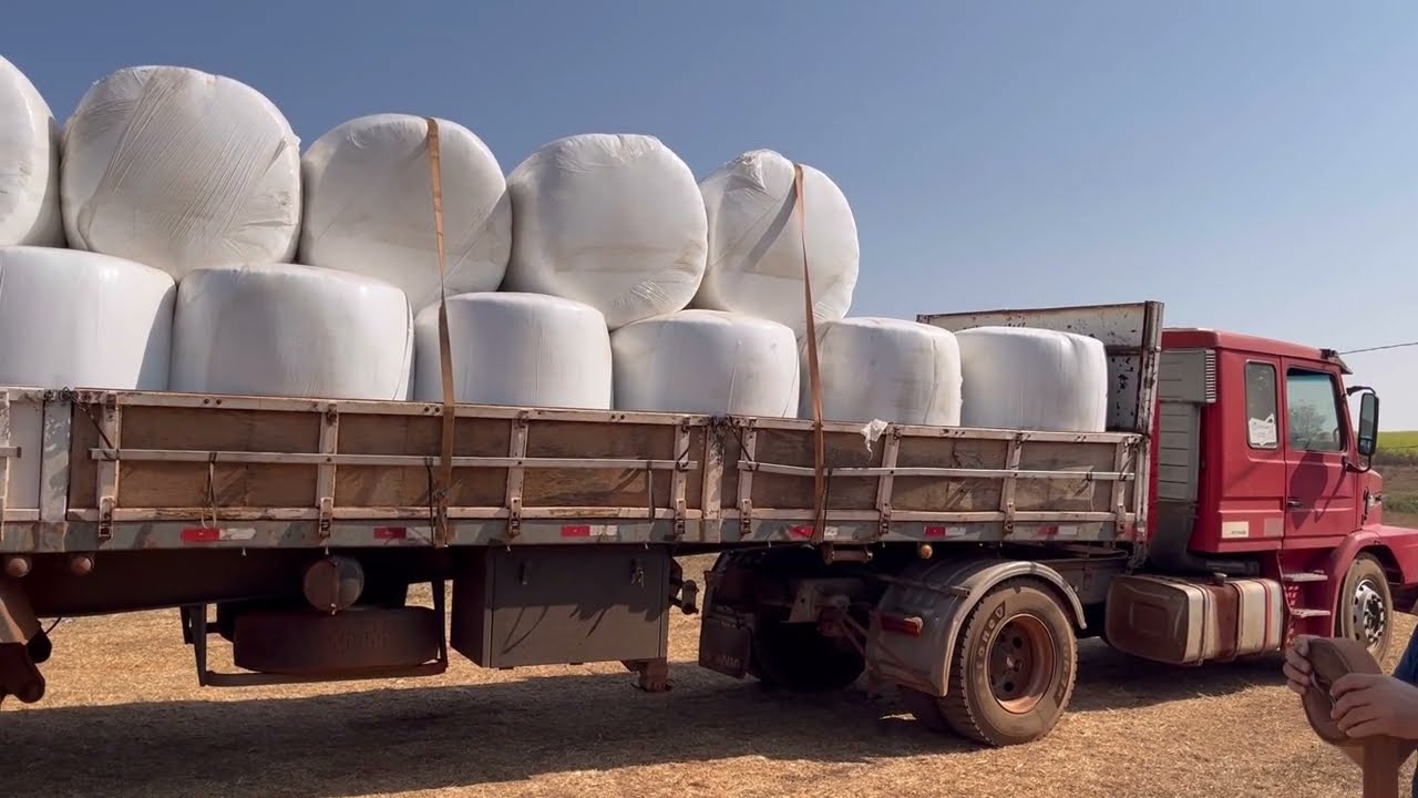 Chegou mais uma carreta da silagem da cargil bora descarregar