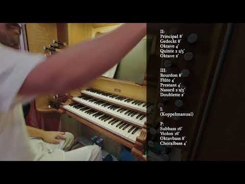 Tour Of Stops XVI - Register - und Plenavorstellung der Matz&Luge Orgel in Obersasbach