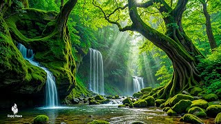 Relaxing Peaceful Piano Music 🍀 Stress Relief & Healing Melodies for Inner Peace and Relaxation