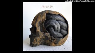 Anguish - Healer's Lament