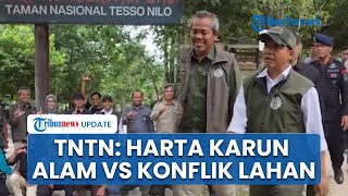 Harta Karun Alam vs Konflik Lahan Taman Nasional Tesso Nilo, Menhut Bakal Lakukan Restorasi