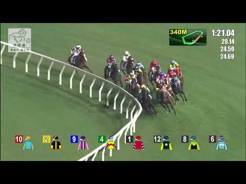 港經佬賽事重溫｜15-12-2021 谷草夜馬第三場賽事重溫 (255)｜龍戰士 K.F.M Panda (C153)｜波健士 V Borges｜蘇保羅 P O'Sullivan｜免費心水及賽馬貼士