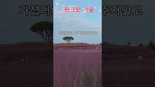 #합천여행#합천신소양체육공원#가을하늘#핑크뮬리#코스모스#쇼츠