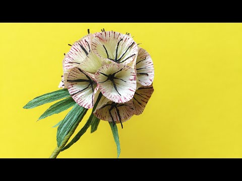 ABC TV | How To Make Scabiosa Pods Paper Flower From Crepe Paper - Craft Tutorial