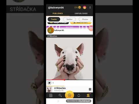 KALO WYO JR STŘÍDAČKA (oficiál) videoklip