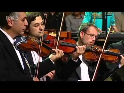 Vivaldi Spring 3rd mov by M.Meštrović