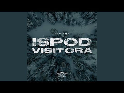 Ispod Visitora