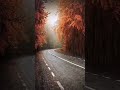Rim Jhim Instrumental Song Best WhatsApp Status WeirdoMl