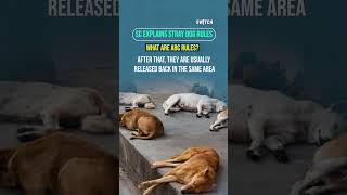 What the Supreme Court Said on Stray Dogs?