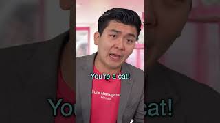 Failure Management Cat Cafe 6