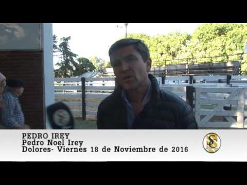 18-11-16 - Pedro Noel Irey - Jose Luis Aranciaga -Nota Pedro Irey (Consignatario) - Dolores