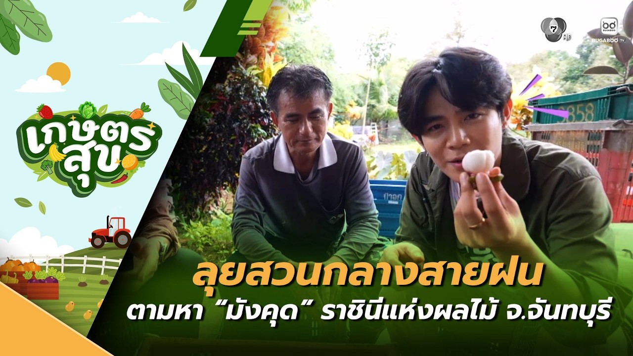 เกษตรสุข EP.27 | ลุยสวนกลางสายฝน ตามหา "มังคุด" ราชินีแห