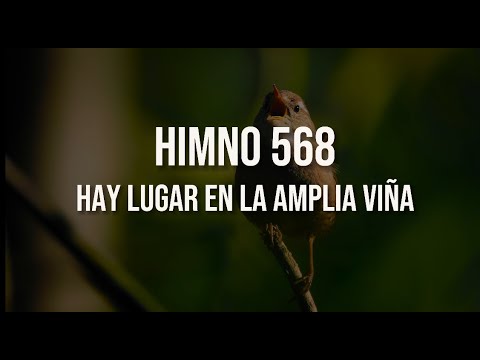 Himno 568 - Hay lugar en la amplia Viña.