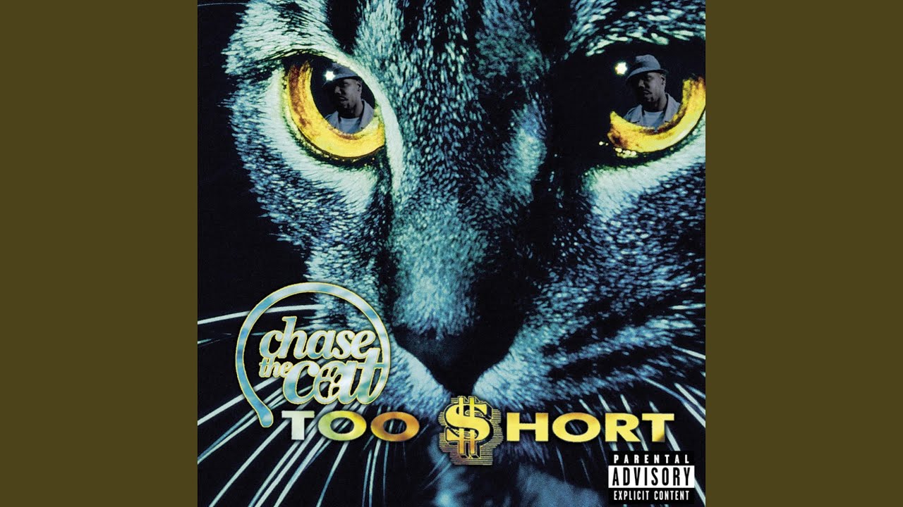 Too $hort - U Stank