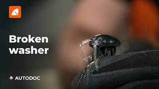 Why Is the Windscreen Washer Not Spraying? Solution