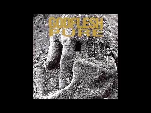 Godflesh - I Wasn't Born To Follow (Official Audio)