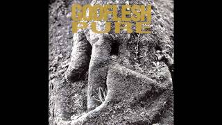 Godflesh - I Wasn't Born To Follow (Official Audio)