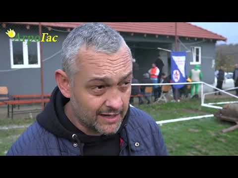 Omladinac - Rad 2:3, buran derbi i izjave trenera