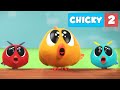Where's Chicky? NEW SEASON | CHICKY'S FAMILY | Chicky Cartoon in English for Kids