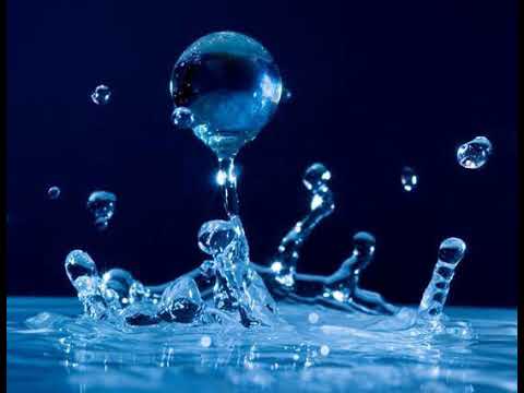 Freedomiscash - Potion