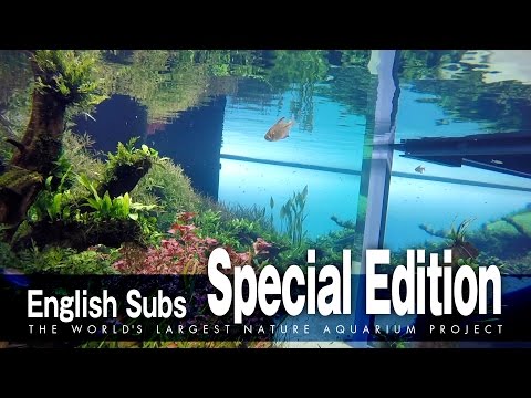 The World’s Largest NA Project: Special Edition