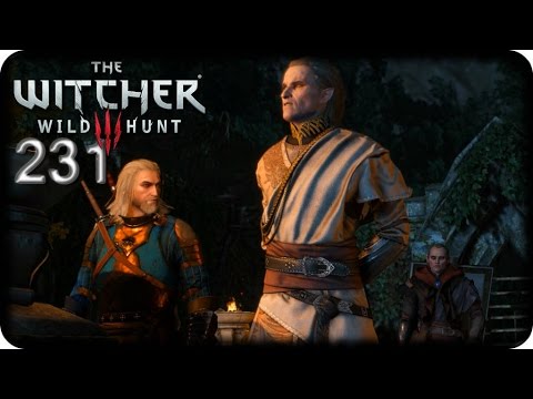 WITCHER 3: WILD HUNT #231 - Treffen im Reich der Aen Saidhe - Let's Play The Witcher 3