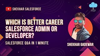 Which Is Better Career Salesforce Admin or Developer?