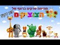 הצוציקים חמישה פרקים ברצף