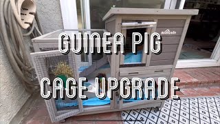 Moving My Guinea Pigs Outdoors! (Aivituvin Amazon Cage Review)