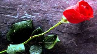 CHAYANNE PELIGRO DE AMOR.MP4