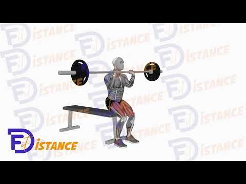 Exercice Squat avant à la barre descente sur un banc