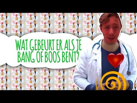 WAT DOE JIJ ALS JE BANG BENT?! - VRAAG HET YOUTUBE-DOKTER ELBERT