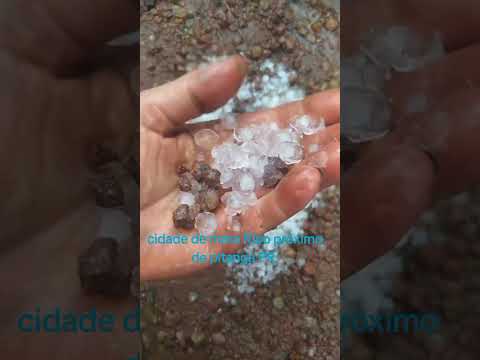 12/11/25 mato rico PR