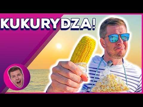 ILE MOŻNA ZAROBIĆ sprzedając KUKURYDZĘ na plaży? 💰 Filip Chajzer- WCHODZĘ W TO! 👊