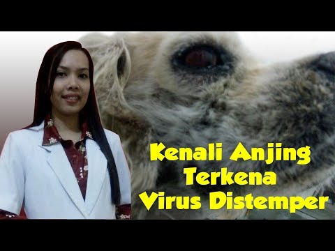 tratamentul medicamentelor pentru prostatita cronică