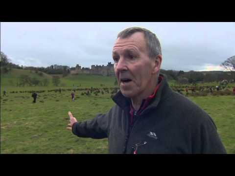 Alnwick Shrove Tuesday 2016 (Tyne Tees)