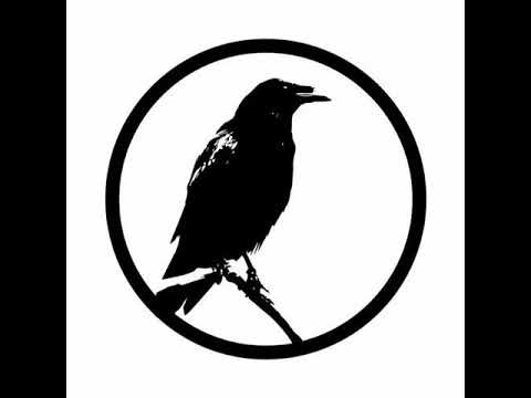 Ourmoney - Crte Bele Adidas