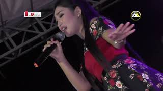 MEISELA - AKHIRE CIDRO - IRLANDA