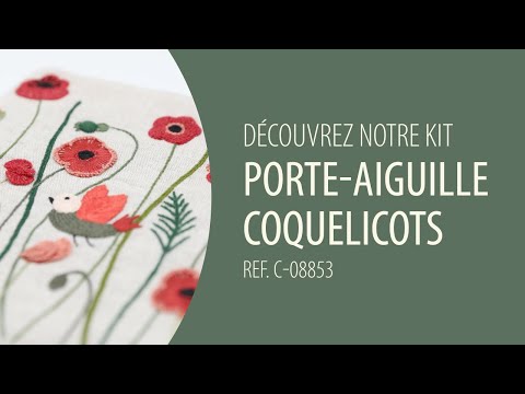 Voir la vidéo