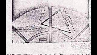 Sacher-Pelz - Chains And Whips