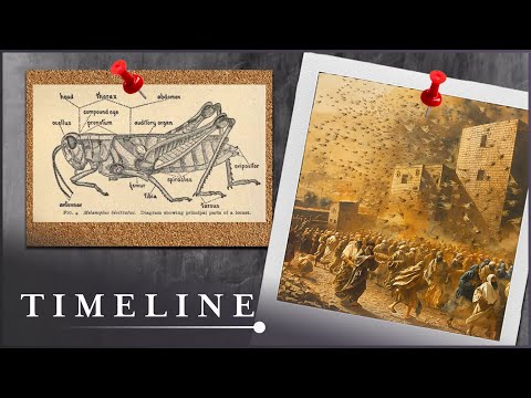 The Truth Behind The Exodus | Exodus Decoded (Biblical Conspiracy Documentary) | Timeline