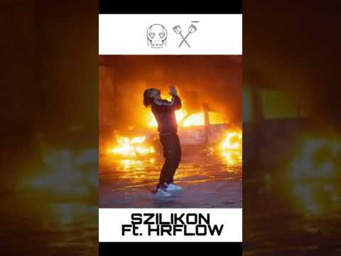 Mishh Szilikon Ft Hrflow