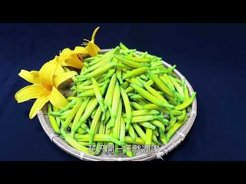 臺東場  金針菜臺東7號無硫乾製品加工技術