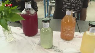 Confluence Kombucha keeps The Grove healthy