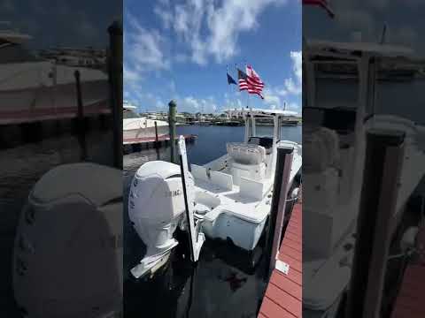 Sea Hunt 25 BX FS