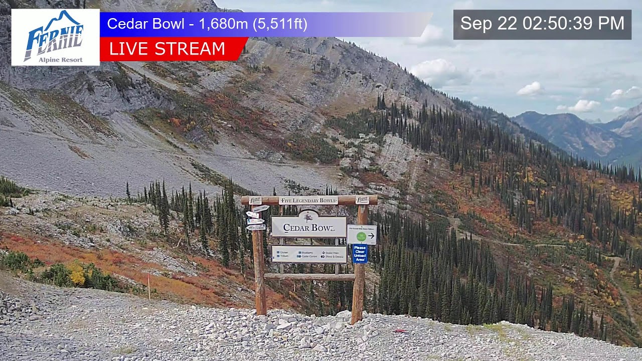 Fernie Alpine Resort webcam — Cedar Bowl