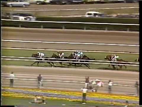 1986 Breeders Cup Mile (NBC)