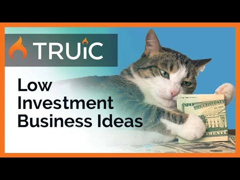 , title : '5 Business Ideas with LOW Investment | Low Cost Businesses you can Start Today 2022